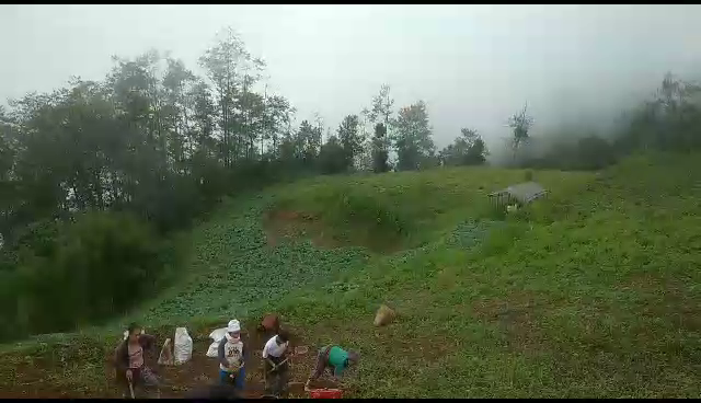 vlcsnap-2023-06-20-17h28m51s002