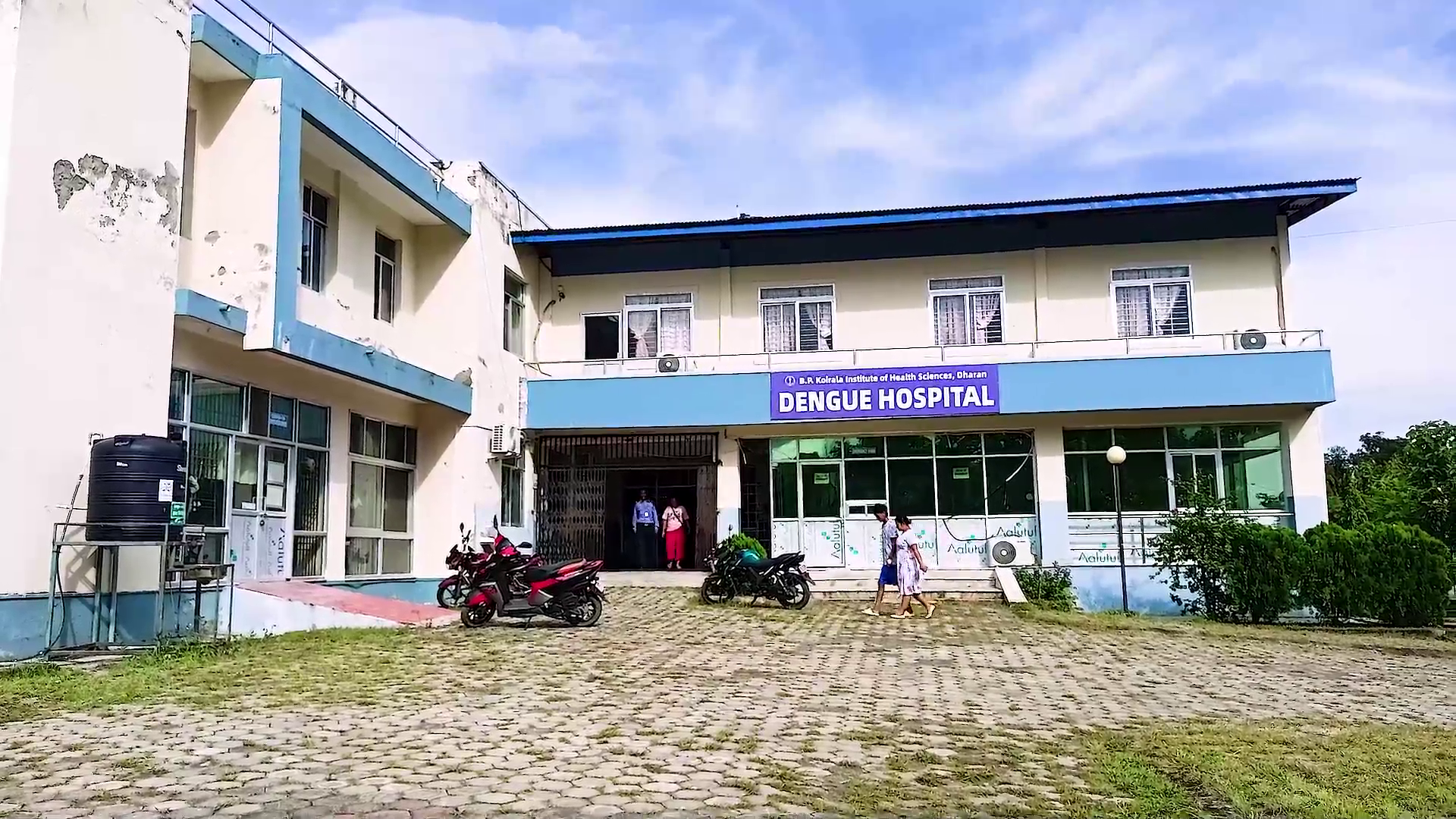 Dengue  (3)
