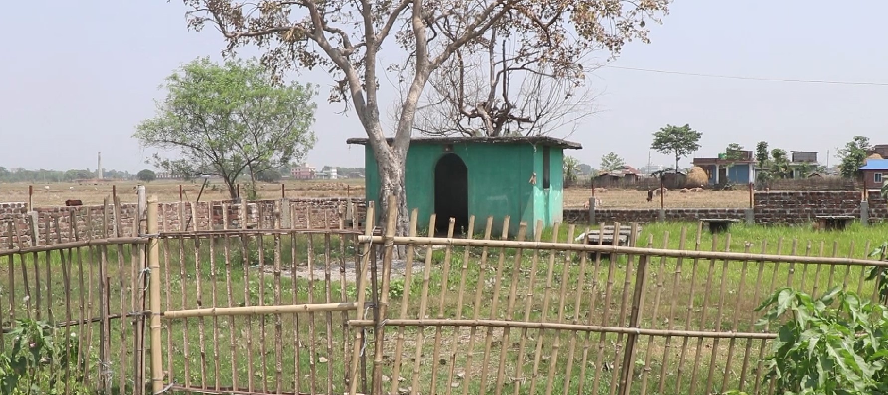gramthan  (3)