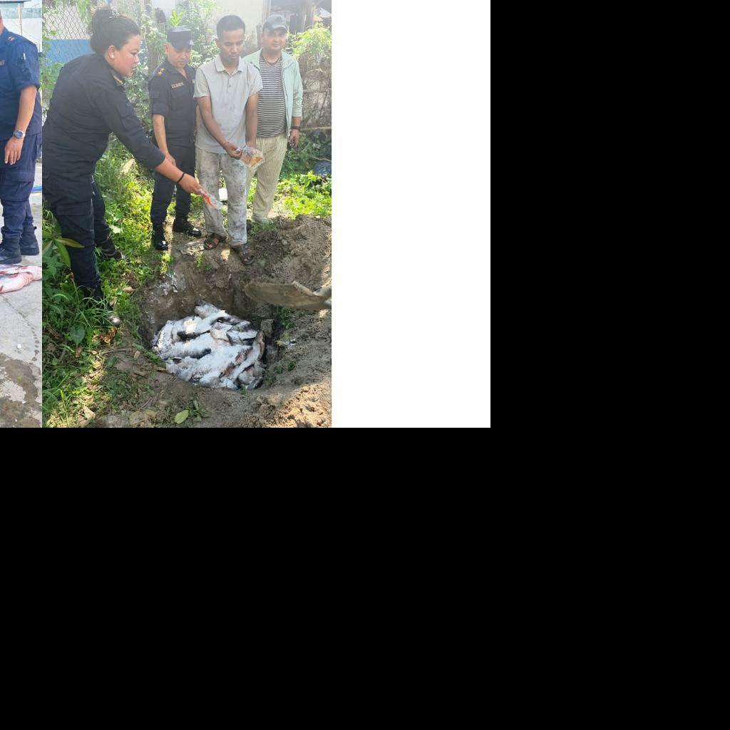 झापामा ५६ हजार रुपैयाँ बराबरका अवैध माछा बरामद, खाल्डो खनेर नष्ट